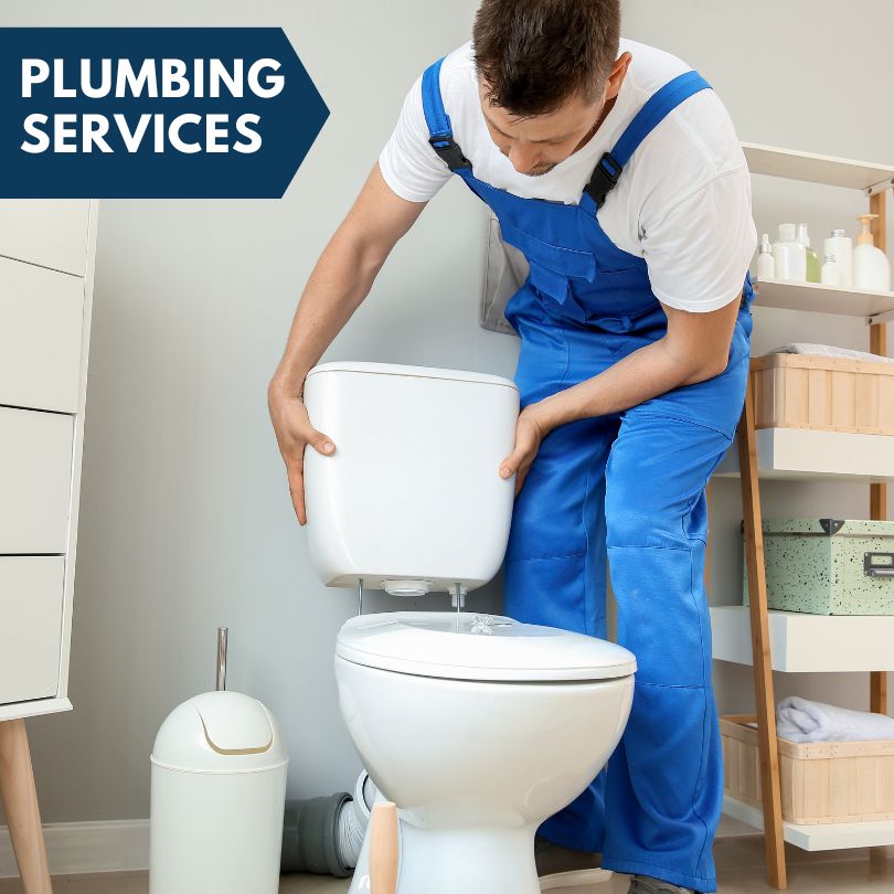 Plumbing Company in Lemhi, ID